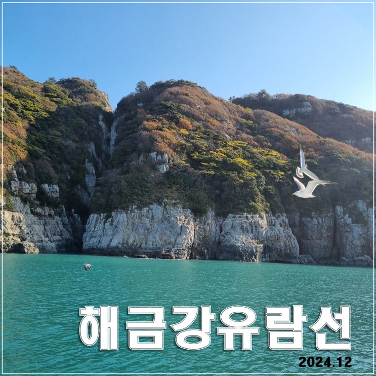  거제 유람선 관광 : 시리도록 푸르른 겨울의 해금강 (유람선 선착장 5곳 정보)