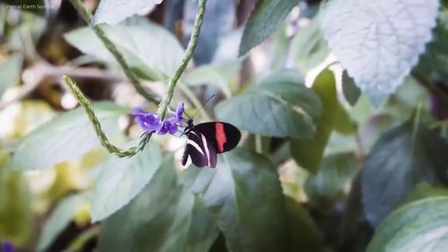  대전 바리스타 국비지원 , 바리스타 자격증 응시자격 없이 합격정보 및 전망
