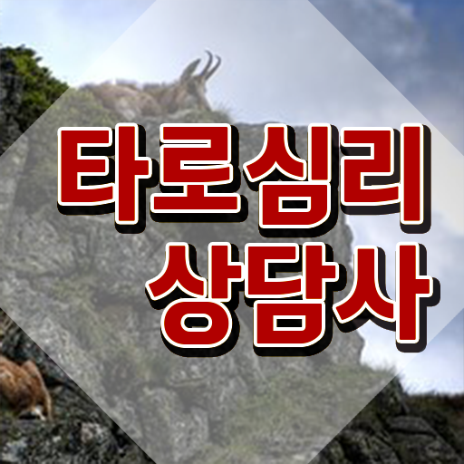  타로 무료 , 타로상담전문가 타로상담전문가자격증 합격한 팁 , 취업후기