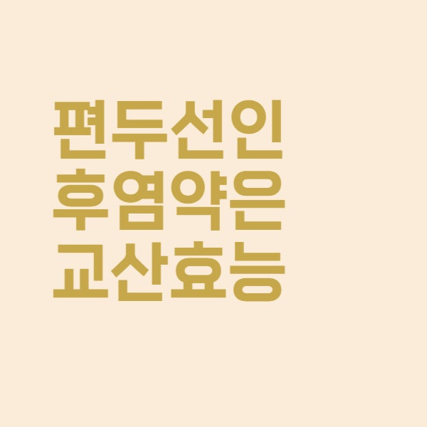  은교산 편도선염 인후염 약 효능 정리했어요