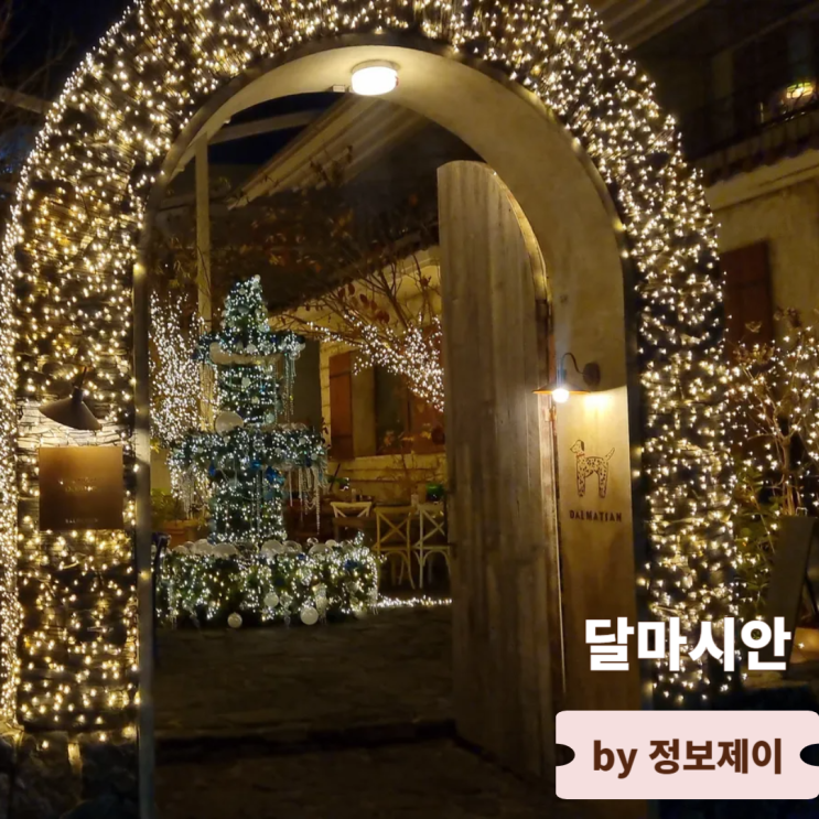  강남 도산공원맛집 유럽식 레스토랑 달마시안 압구정점