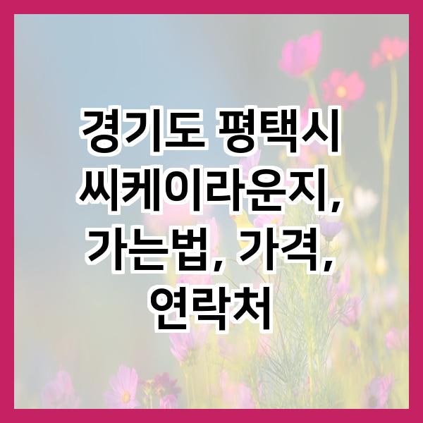 씨케이라운지 사진 2
