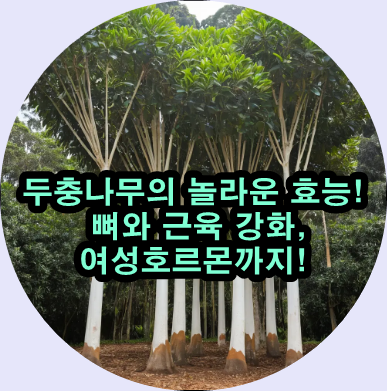  허리 통증부터 골다공증까지! 두충의 효능 총정리
