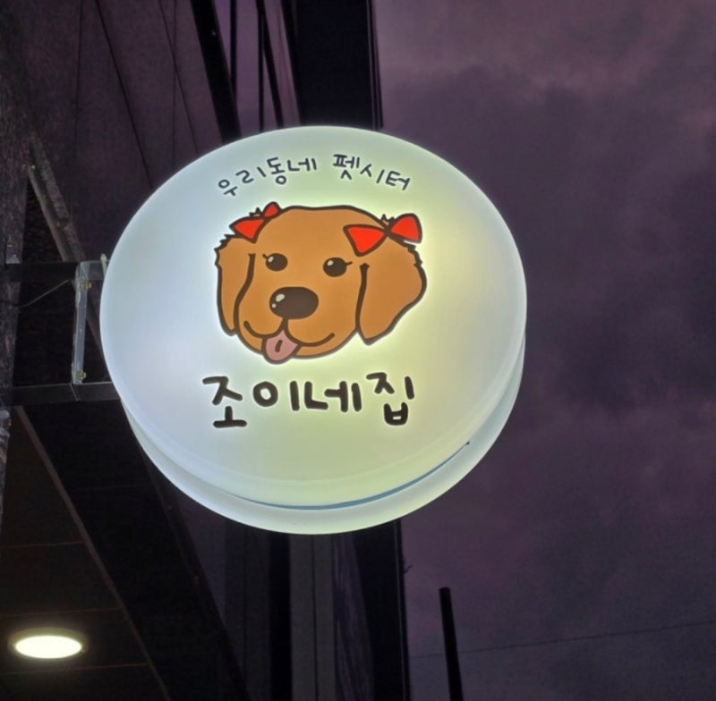 사진 5
