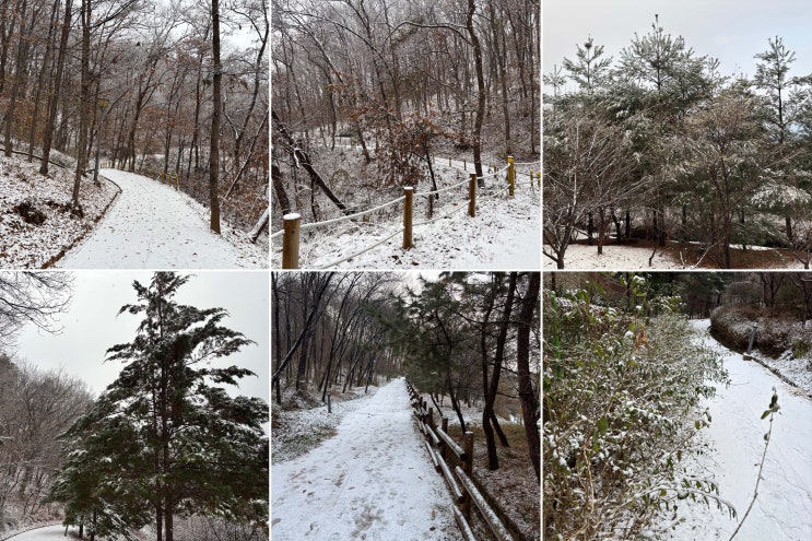  충남 아산 용곡공원(부엉공원) 걷기