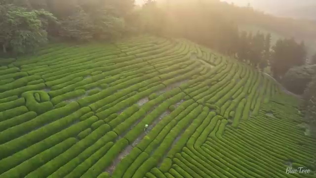  학교안전지도사아카데미 , 학교안전지도사 자격증 합격정보 정리해드립니다