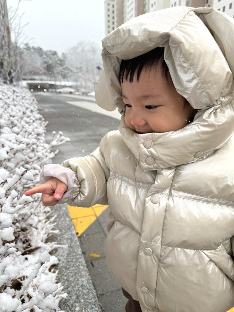 아프리콧 스튜디오 토곰 패딩, 사랑받던 브랜드가 직면한 위기