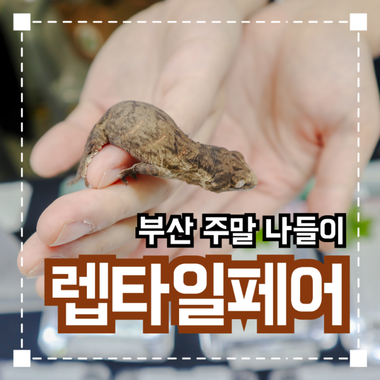  부산 주말 데이트 추천 제 36회 '렙타일페어 부산'