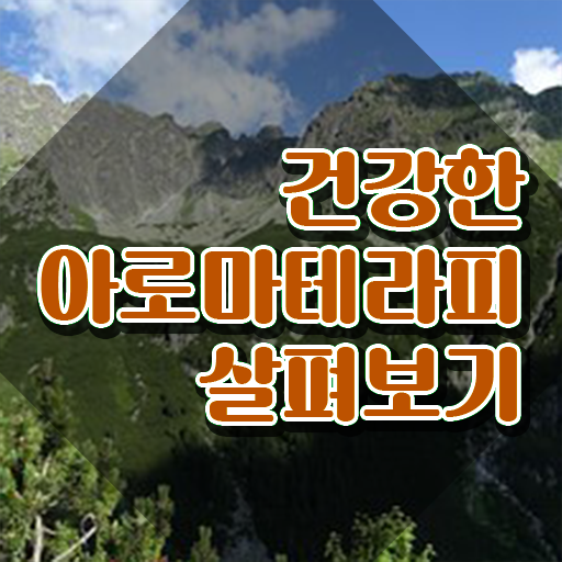  아로마뷰티diy지도사 준비 , 아로마뷰티DIY지도사 자격증 응시자격 없이 취득한 방법 및 향후 전망