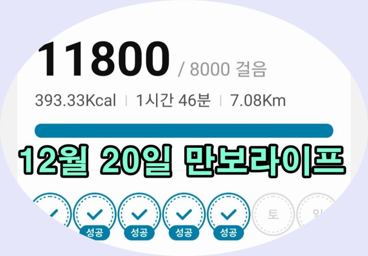  바른 자세로 걷는 겨울밤  만보라이프의 시작