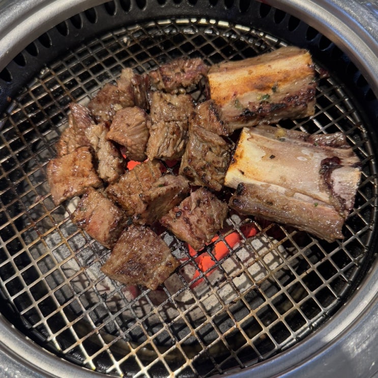  홍대입구역 와인 고기집 청기와타운 콜키지프리 단체 회식 추천 후기