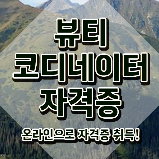  뷰티스타일리스트자격증 , 뷰티코디네이터 자격증 비용없이 온라인으로 준비한 방법 , 고용 전망