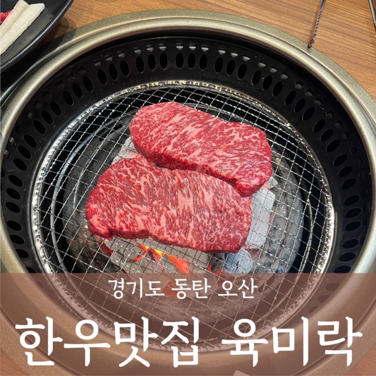  동탄 소고기 '육미락' 한우맛집 룸식당 결혼기념일 만족후기