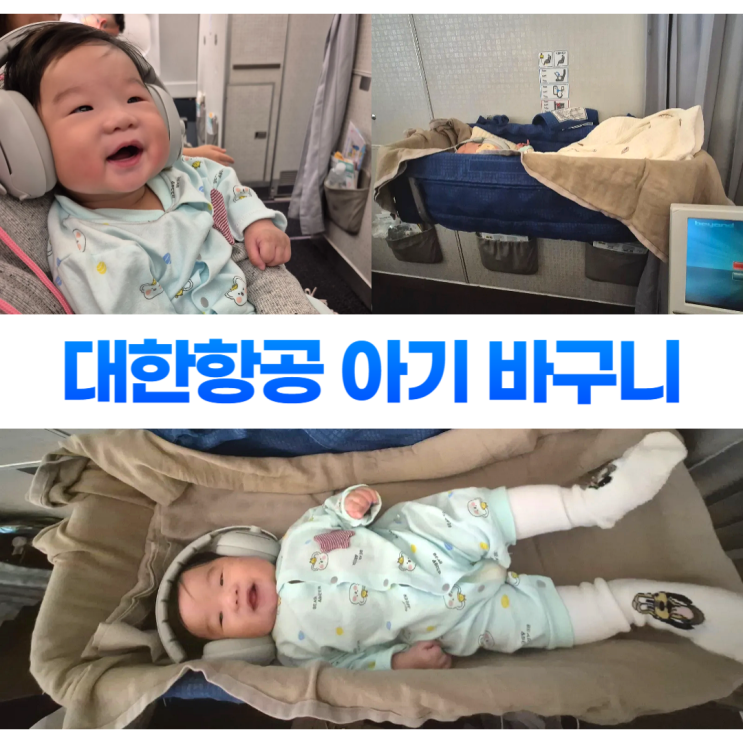 대한항공 무료 아기 바구니 좌석 유아식 신청방법 대한항공 무료 아기 바구니 좌석 유아식 신청방법