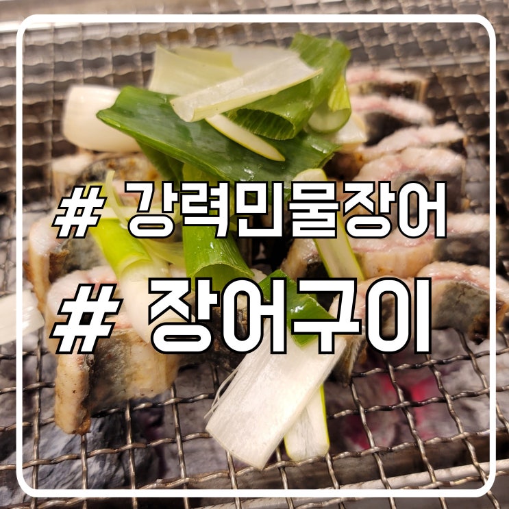  안산 선부동 장어 맛집 탱글한 식감 몸에 좋은 강력민물장어