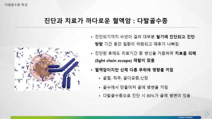  유리경쇄(FLC) 검사시약 선정 시 고려사항