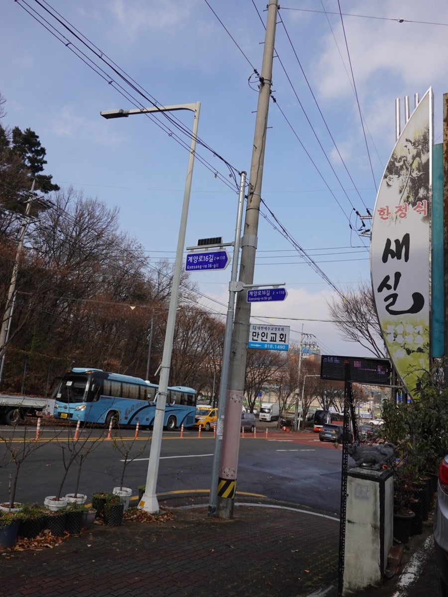 새실 사진 5