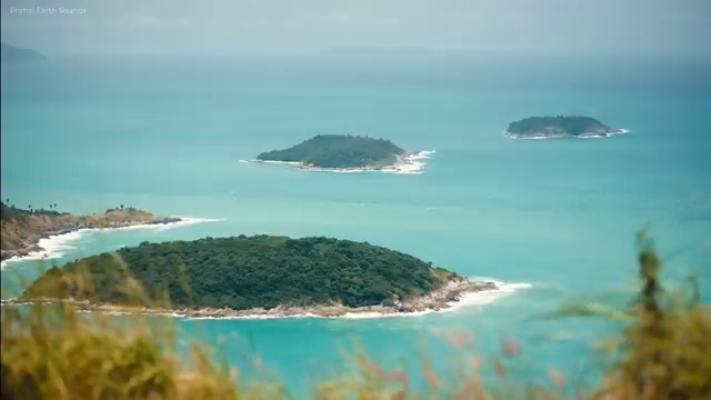  아동발달전문지도사자격증 , 아동발달전문지도사 자격증 응시자격 없이 합격한 후기 궁금증 해결
