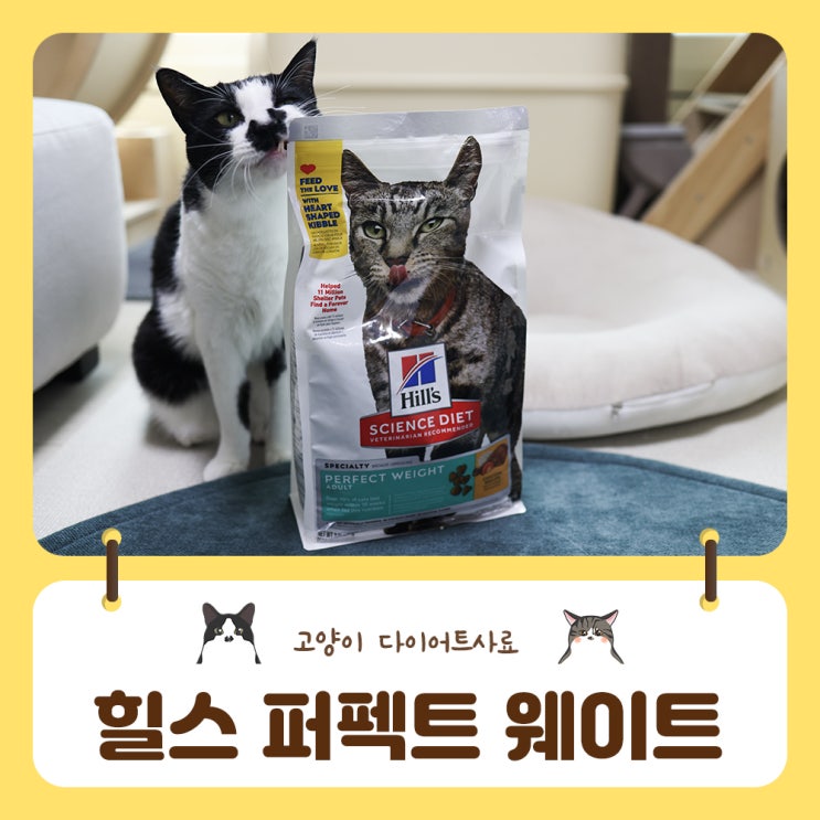  확실한 체중감량을 위한 힐스 고양이 다이어트 사료 퍼펙트 웨이트