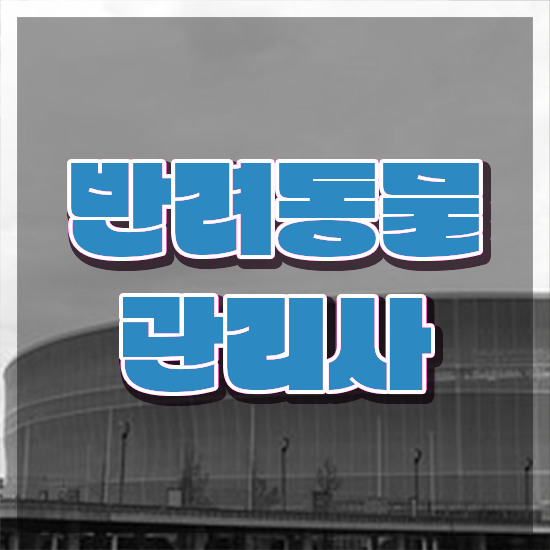  반려동물종합관리사 , 반려동물관리사 자격증 1급,2급 동시에 취득한 정보 , 취업 전망