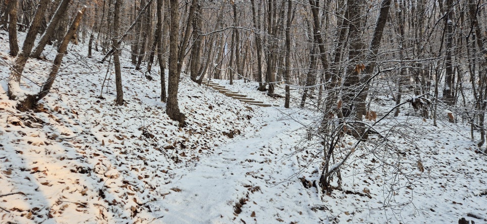 뒷매산 사진 4