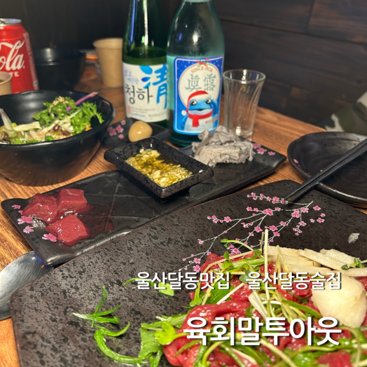 울산 달동 육회 맛집 육회말투아웃 분위기 술집