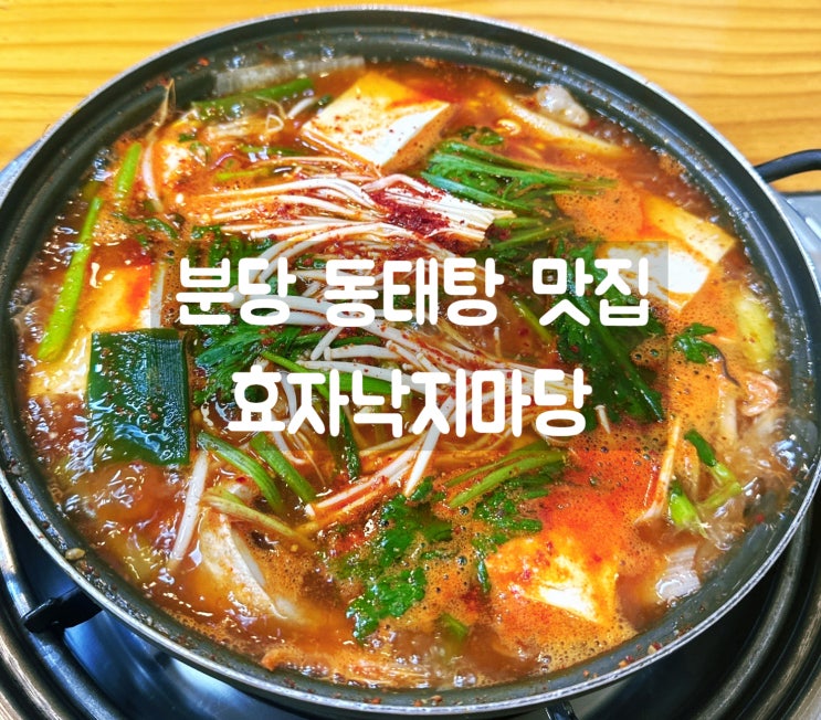  분당 동태탕 맛집 효자낙지마당