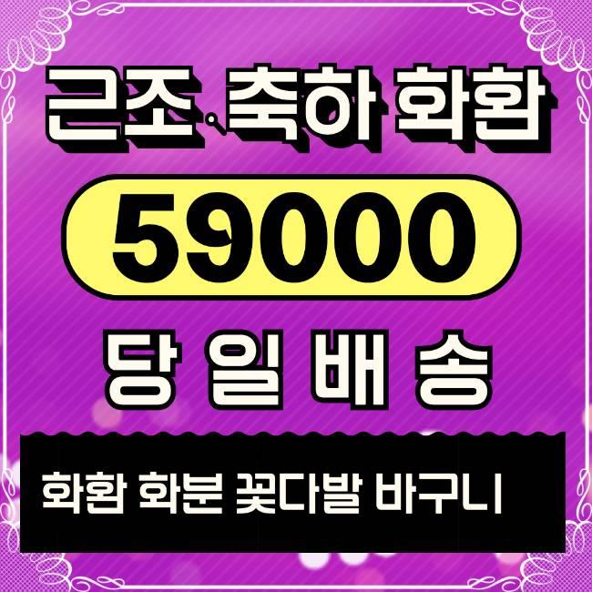 꽃배달택배 저렴한 가격 리본문구 당일 배송 꿀팁!