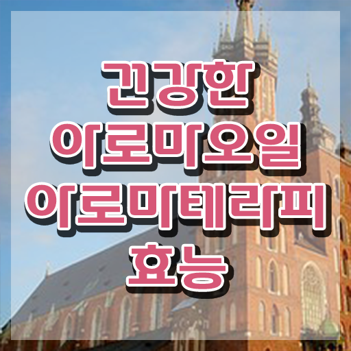  아로마뷰티DIY지도사1급 , 아로마뷰티DIY지도사 자격증 간단하게 시험준비 정리해봤어요
