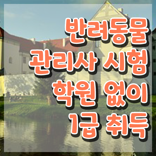  반려동물복지관리사 , 반려동물관리사 자격증 응시자격 없이 합격한 비법 및 채용 정보