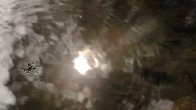  전주심리상담 , 심리상담사 자격증 온라인으로 취득한 방법 , 향후 전망