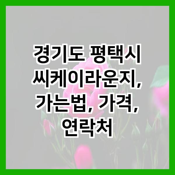 씨케이라운지 사진 1