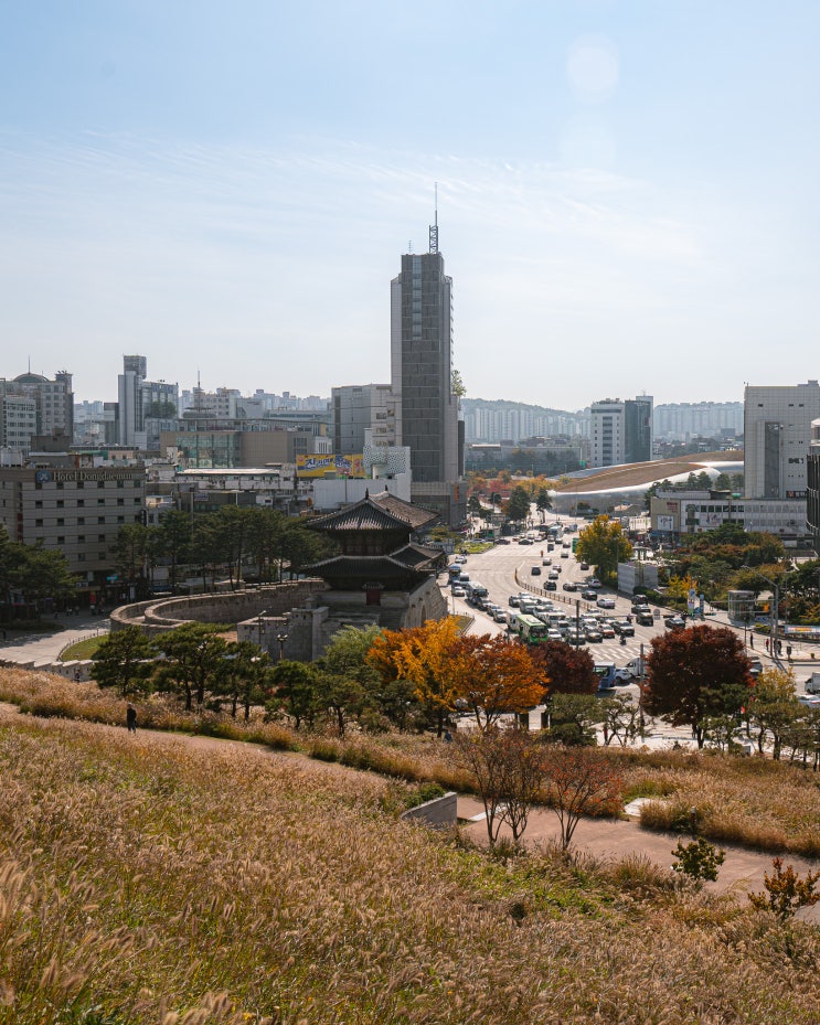  동묘 여행 (2) :: 동묘의 높은 곳, 흥인지문공원 순성놀이, 올덴브라운 동묘점