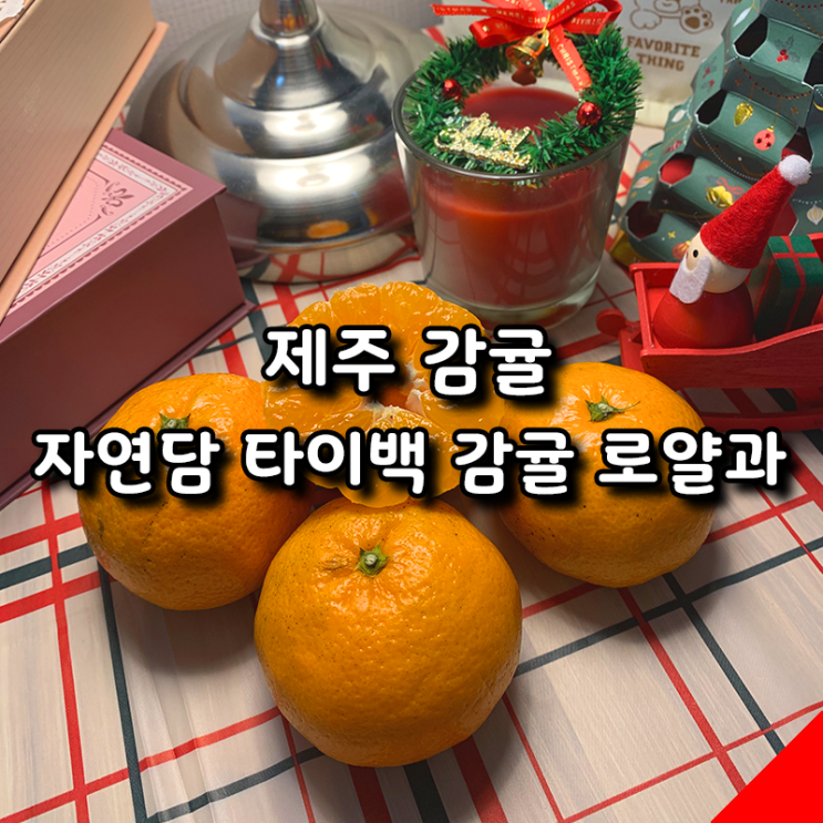  귤 덕후 강력 추천 자연담 제주 타이백 감귤 맛도 품질도 최고