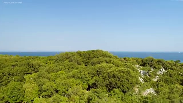  40대여성자격증 , 부동산권리분석사 인강만 듣고 경력없는 사람도 쉽고 빠르게 준비하는 꿀팁 모음