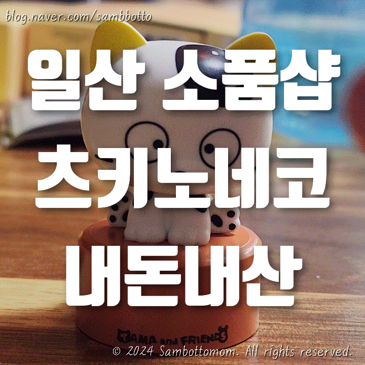  일산 소품샵 추천, 원마운트 츠키노네코 | 다이소 털기, 다이소 구매 추천템 | 내돈내산