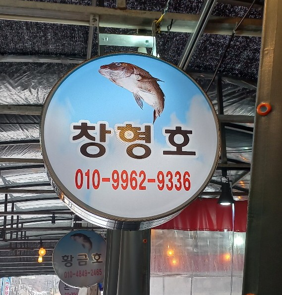 창형호 사진 4
