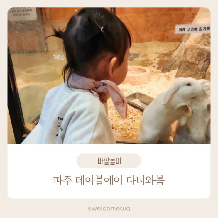  서울 근교 아기랑 갈만한곳 파주 테이블에이 다녀왔어요