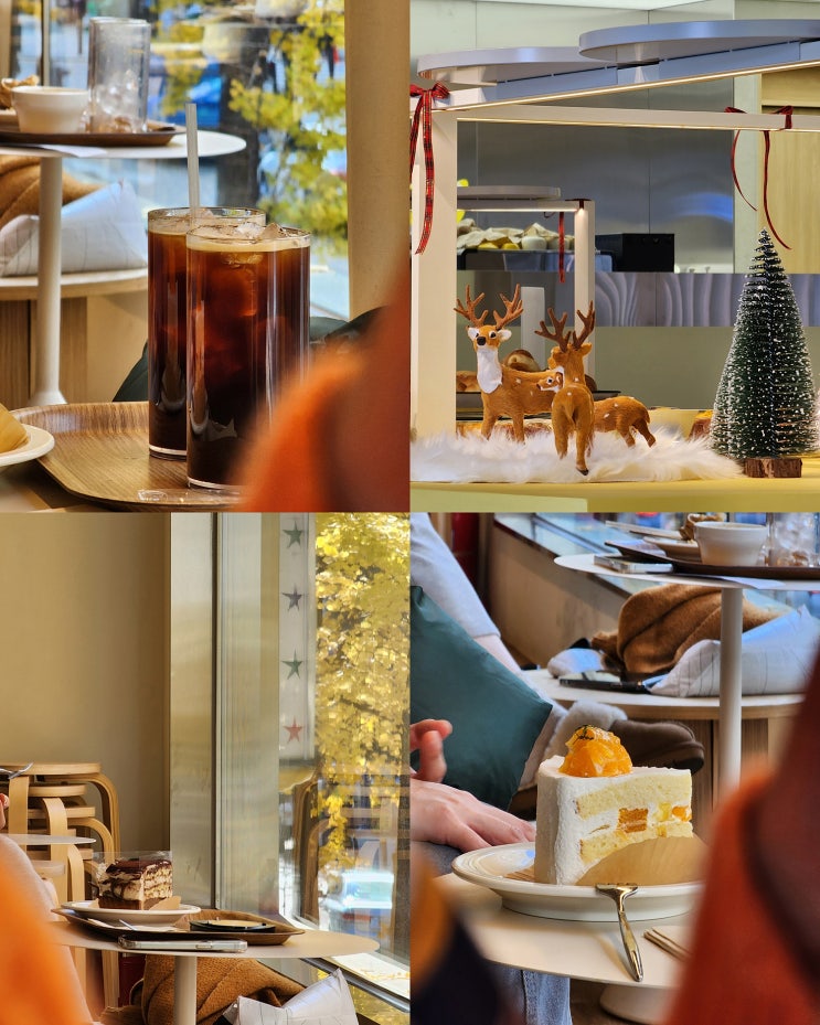 통창 너머 은행나무 뷰 맛집 화정역 베이커리 카페 블레블레 통창 너머 은행나무 뷰 맛집 화정역 베이커리 카페 블레블레