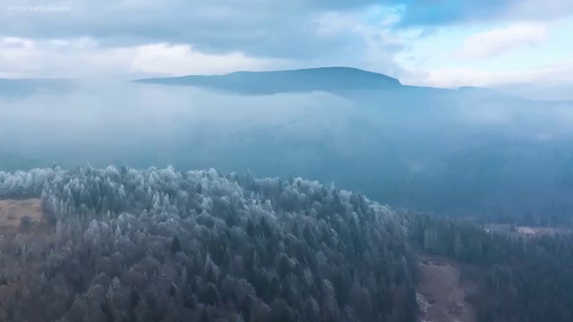  아동심리상담사2급자격증학원 , 아동심리상담사 자격증 독학으로 합격정보 및 취업정보