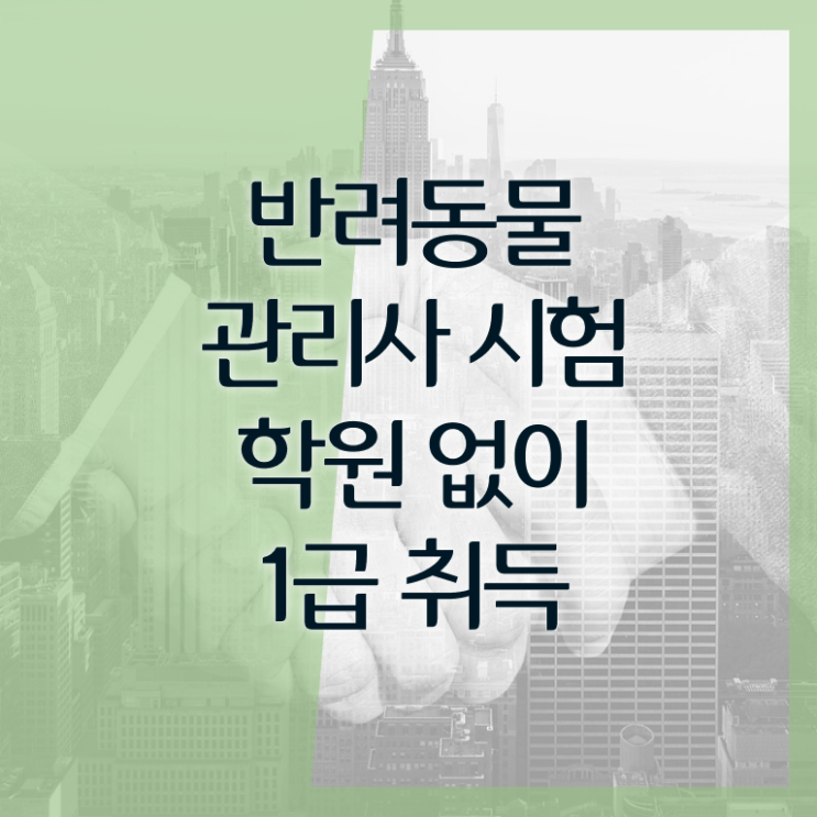  반려동물 생활관리사 , 반려동물관리사 자격증 취득한 정보 요약
