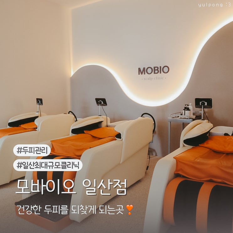  일산두피관리 성공 후기 모바이오 일산점 특별한 케어 비법