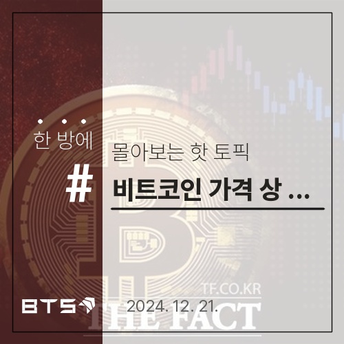 비트코인 가격 상승 분석