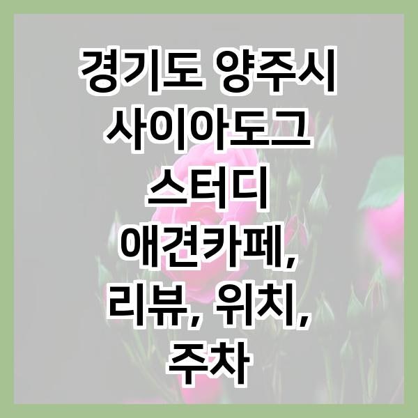 사이아도그 스터디 애견카페