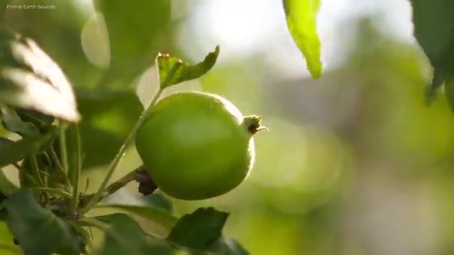  아동교육지도사 클래스 , 아동교육지도사 자격증 1급,2급 동시에 취득했던 후기 알아볼게요