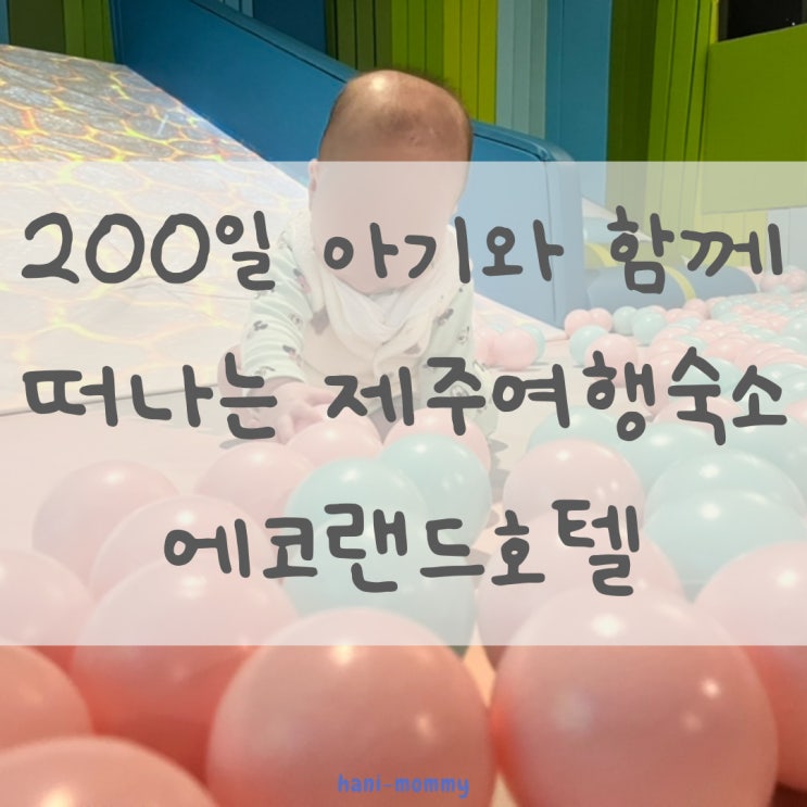 200일 아기와 함께 떠나는 제주여행_숙소 에코랜드호텔 호텔아기놀이방 200일 아기와 함께 떠나는 제주여행_숙소 에코랜드호텔 호텔아기놀이방