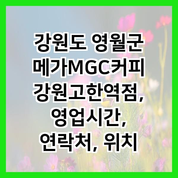 메가MGC커피 강원정선점 사진 1