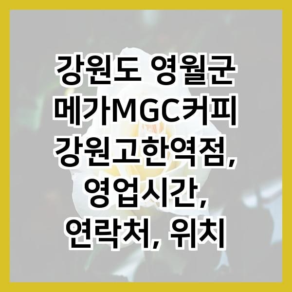 메가MGC커피 강원정선점 사진 2