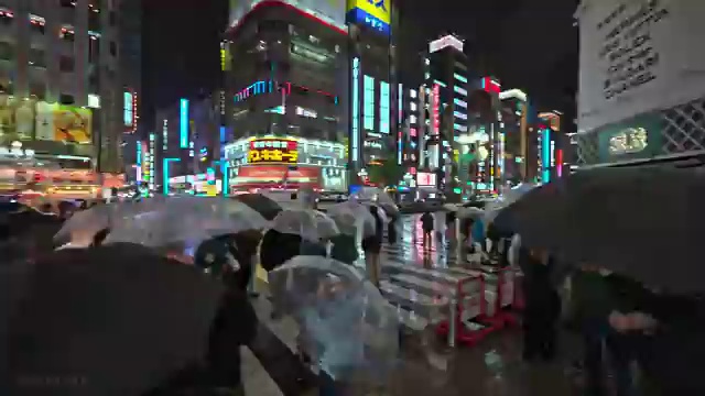 학교안전교육 , 학교안전지도사 자격증 한달 만에 취득한 노하우 및 이후 전망