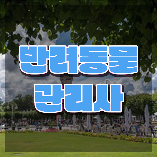  반려동물목욕관리사 , 반려동물관리사 자격증 독학으로 취득한 방법 핵심 정보